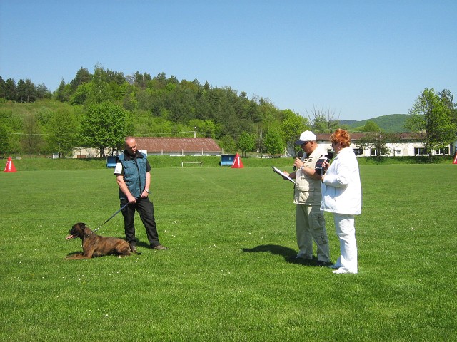 www.atibox.net * www.euroboxer.eu * www.boxergenealogia.eu